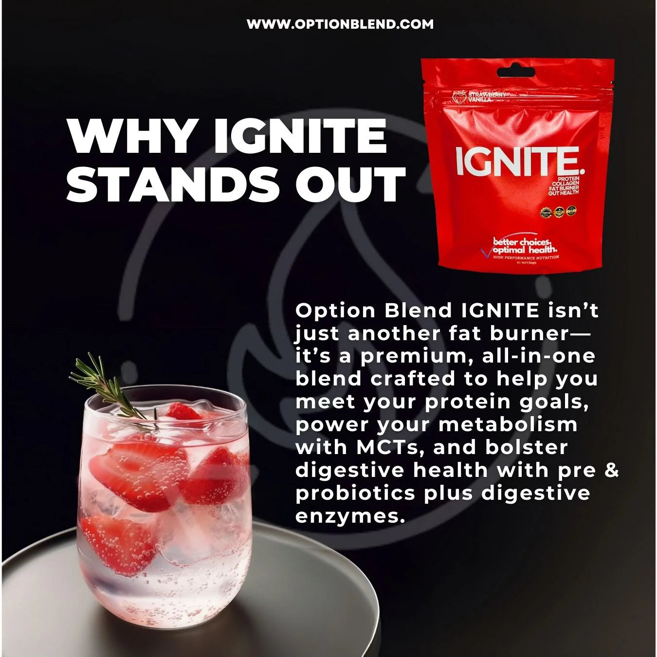 IGNITE: collagen peptides, protein isolates, balanced electrolytes, MCT's